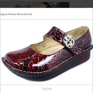 Alegria Paloma Wine Etched